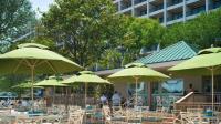 Hilton Head Marriott Resort & Spa image 7