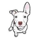 Jayden pitbull home logo