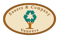 Sauers & Company Veneers image 10