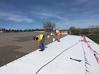 Grizzly Roofing image 16