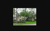 Cleveland Heights Tree Service image 1