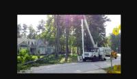Cleveland Heights Tree Service image 4