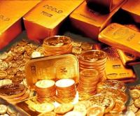 Royal Gold Investments Ltd image 4