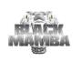 Black Mamba Drain Cleaning logo