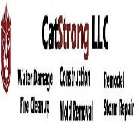 Catstrong Water Damage of Round Rock image 1