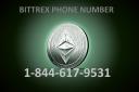 Bittrex Support 1-844-617-9531 logo