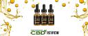 Treasured CBD Oil logo