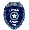 Capital Security LLC logo