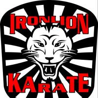 Iron Lion Karate image 1