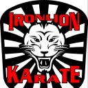 Iron Lion Karate logo