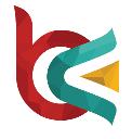 Custom Web Design Agency - Branex logo
