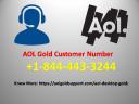 AOL Gold Download logo