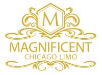 Magnificent Chicago Limo image 1