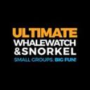 Ultimate Whale Watch & Snorkel logo