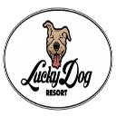 Lucky Dog Resort logo