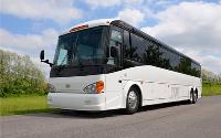Roanoke Charter Bus Rentals image 1