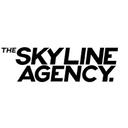 The Skyline Agency image 1
