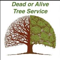 Dead or Alive Tree Service image 4