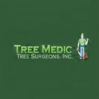 Tree Medic Tree Surgeons, Inc. image 1