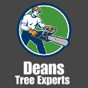 Deans Tree Services logo