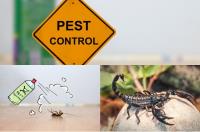 Home Doctor Pest Control image 3