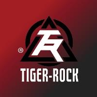 Tiger-Rock Martial Arts Scholars image 1