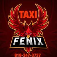 Fenix Taxi image 3