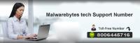 Malwarebytes Contact Help Number 1-8006445716 image 1