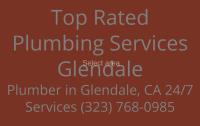 Top Rated Plumbing Services Glendale image 1