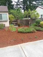 Two Brothers Landscaping and Tree Service image 1