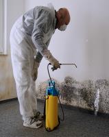 Mold Removal ST Lucie West image 1