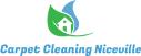 Carpet Cleaning Niceville  logo