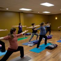 Livonia Yoga Center image 2