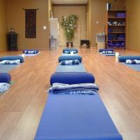 Livonia Yoga Center image 5