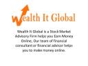 wealthitglobal logo
