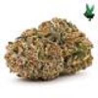 Misty Cannashop image 1