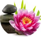 Lotus Blossom Massage image 4