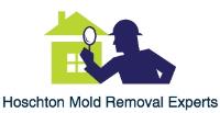 Hoschton Mold Removal Experts image 1
