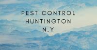 Pest Control Huntngton NY image 1