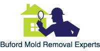 Buford Mold Removal Experts image 1