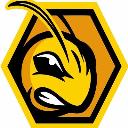 AllPro Bee Removal logo