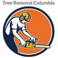 Tree Removal Columbia image 1