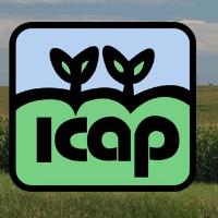 ICAP Crop Insurance image 5