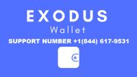 Exodus Technical Support image 1