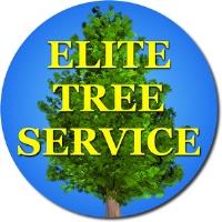 Elite Tree Service image 1