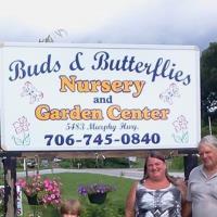 Buds & Butterflies Nursery & Garden Center image 2
