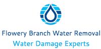 Flowery Branch Water Removal Experts image 1