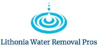 Lithonia Water Removal Pros image 1