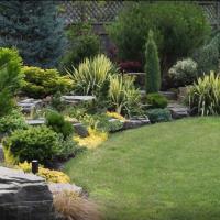 Blue Ribbon Landscaping image 5