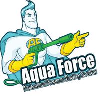 Aqua Force: Professional Pressure Washing Services image 2